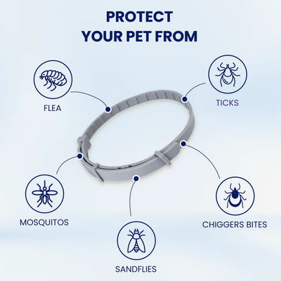PureGuard™ - 08 Months Natural Flea and Tick Collar for Dogs