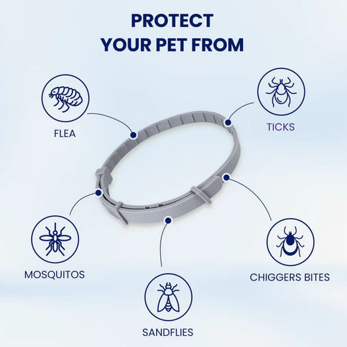 PureGuard™ - 08 Months Natural Flea and Tick Collar for Dogs