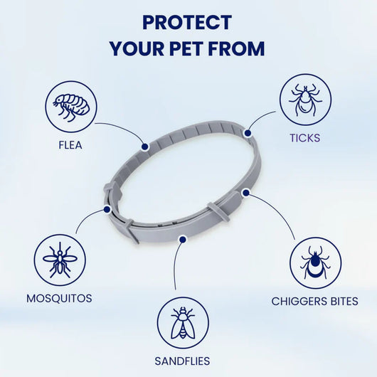 PureGuard™ - 08 Months Natural Flea and Tick Collar for Dogs